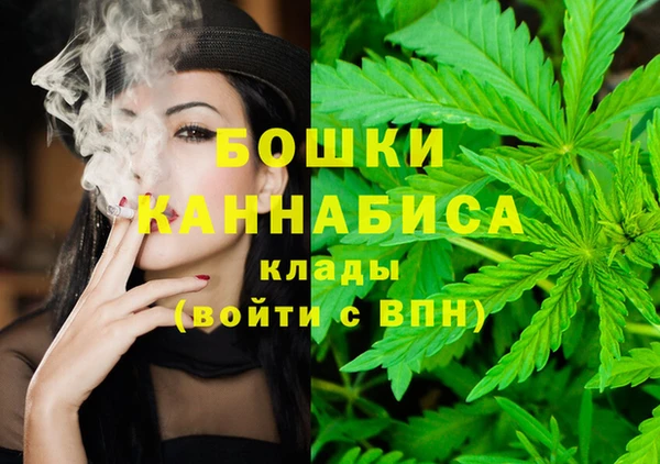 ПСИЛОЦИБИНОВЫЕ ГРИБЫ Балабаново