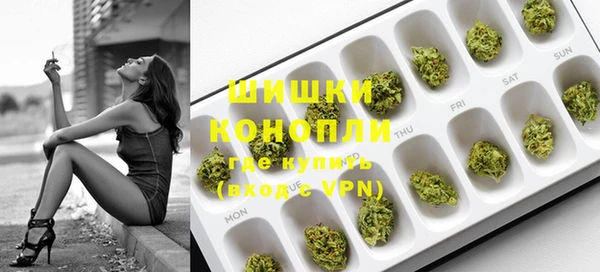 ПСИЛОЦИБИНОВЫЕ ГРИБЫ Балабаново