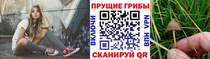 Галлюциногенные грибы MAGIC MUSHROOMS  Ясный 